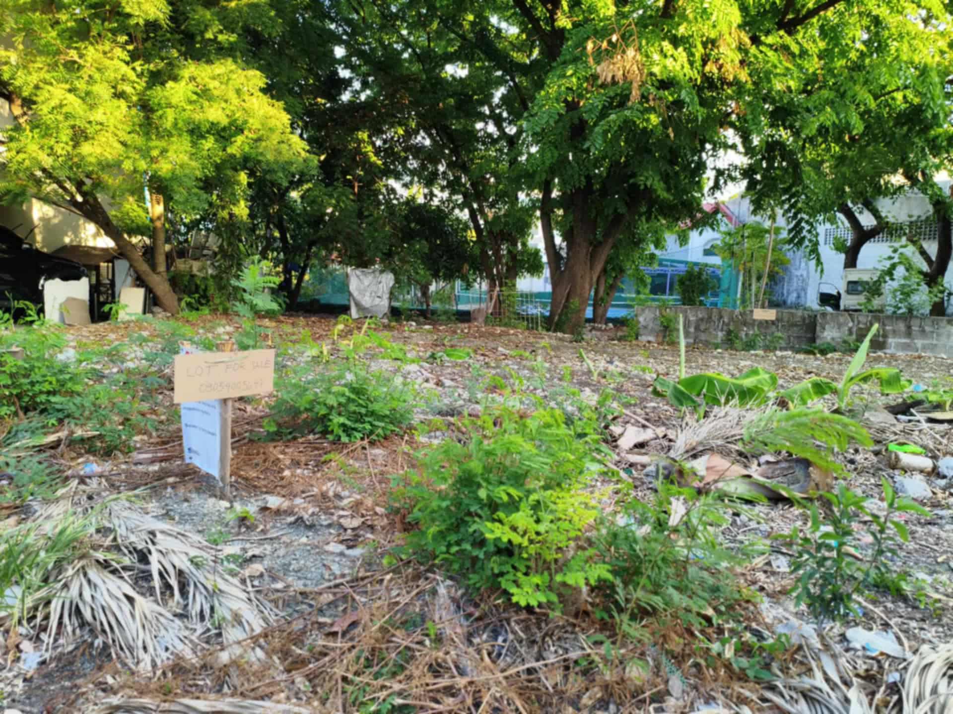 Lot for sale in Westborough Subdivision Paranaque